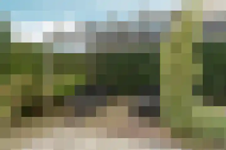 't Rietland 42 Bemmel thumbnail 52