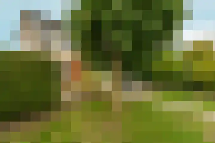 't Rietland 42 Bemmel thumbnail 53