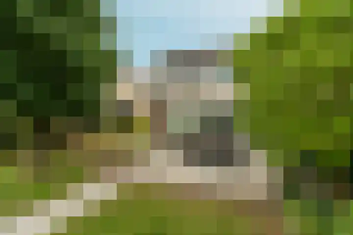 't Rietland 42 Bemmel thumbnail 54