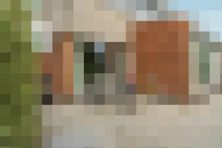 't Rietland 42 Bemmel thumbnail 55
