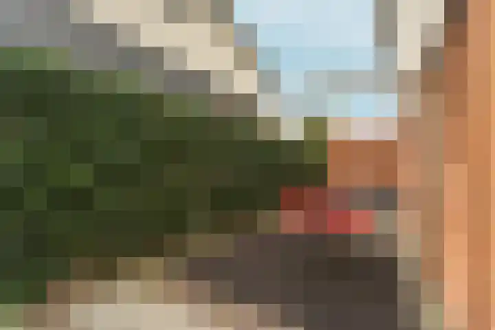 't Rietland 42 Bemmel thumbnail 56