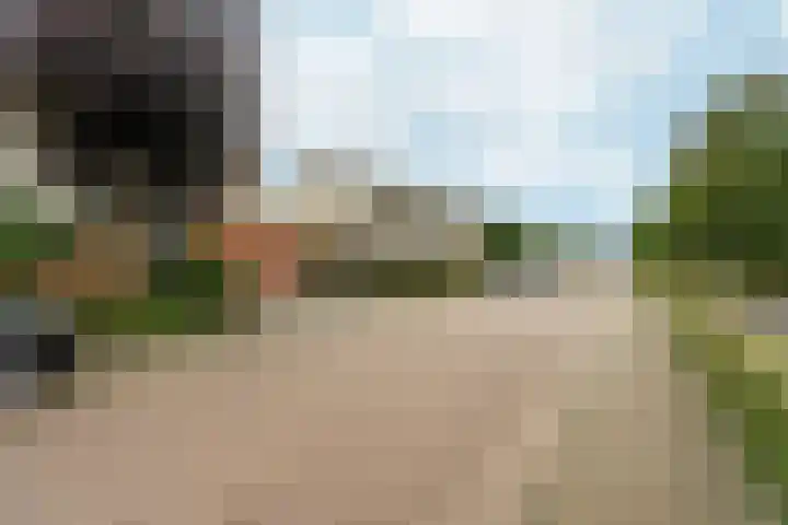 't Rietland 42 Bemmel thumbnail 58
