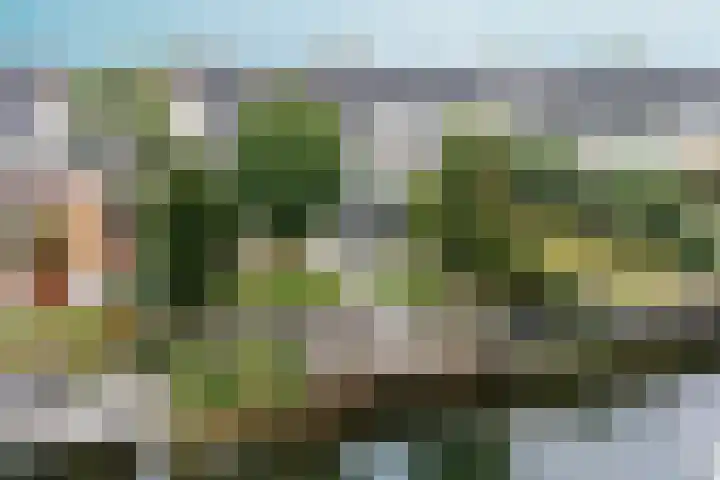 't Rietland 42 Bemmel thumbnail 61