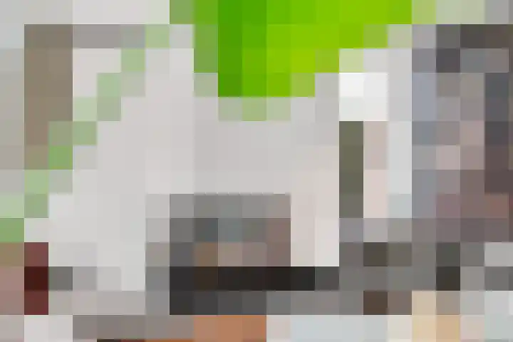 't Rietland 42 Bemmel thumbnail 9