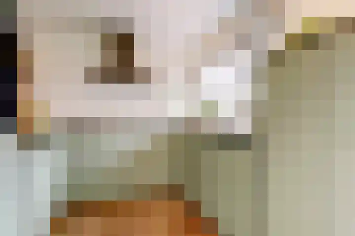 't Rietland 43 Bemmel thumbnail 10