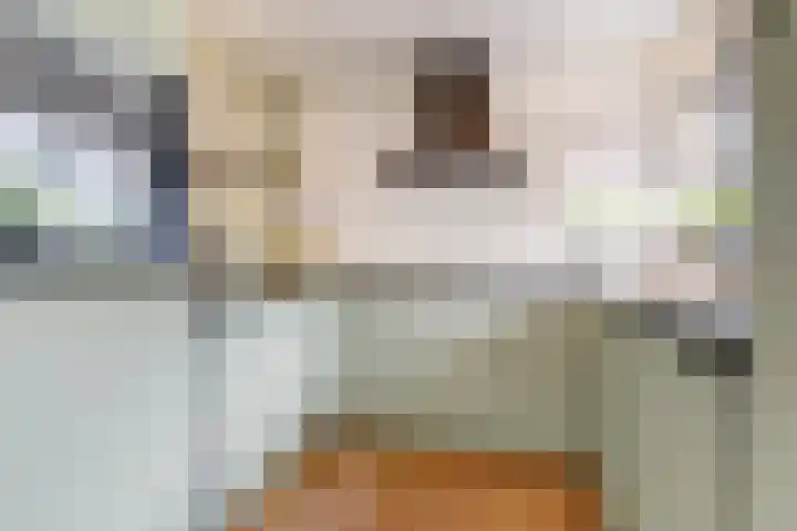 't Rietland 43 Bemmel thumbnail 11