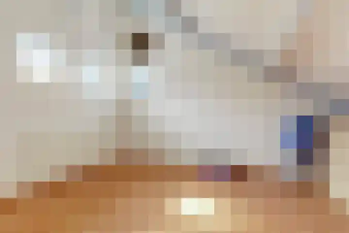 't Rietland 43 Bemmel thumbnail 24