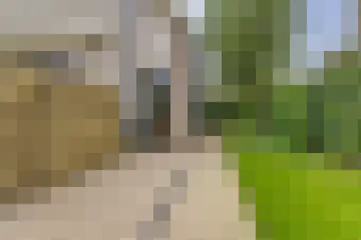 't Rietland 43 Bemmel thumbnail 30
