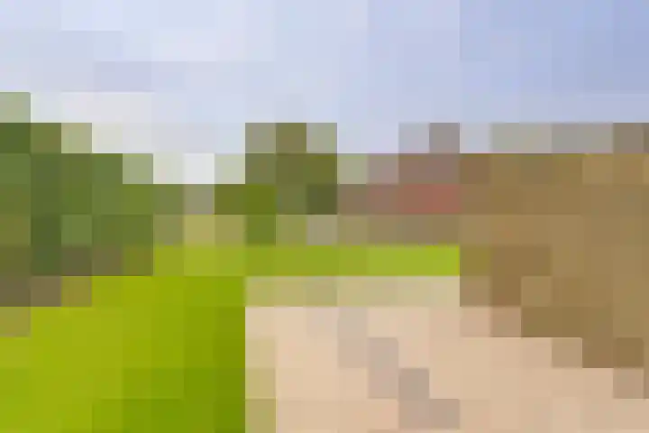 't Rietland 43 Bemmel thumbnail 31