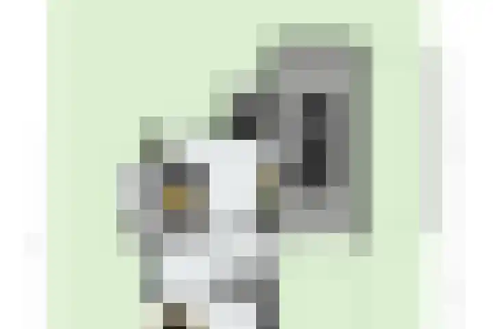 't Rietland 43 Bemmel thumbnail 39