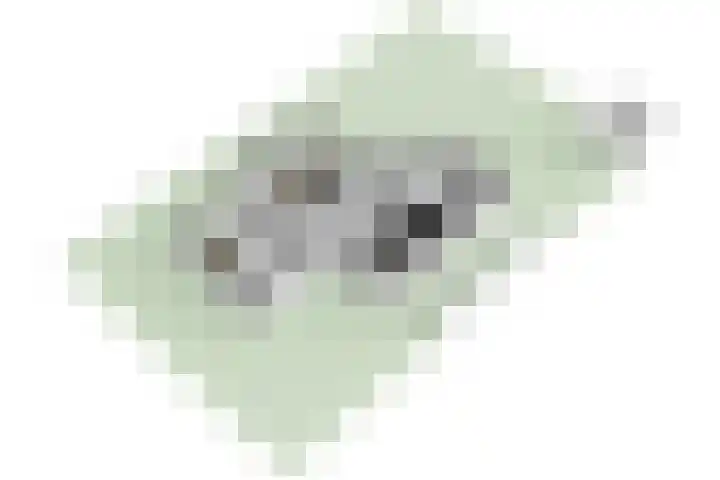't Rietland 43 Bemmel thumbnail 40