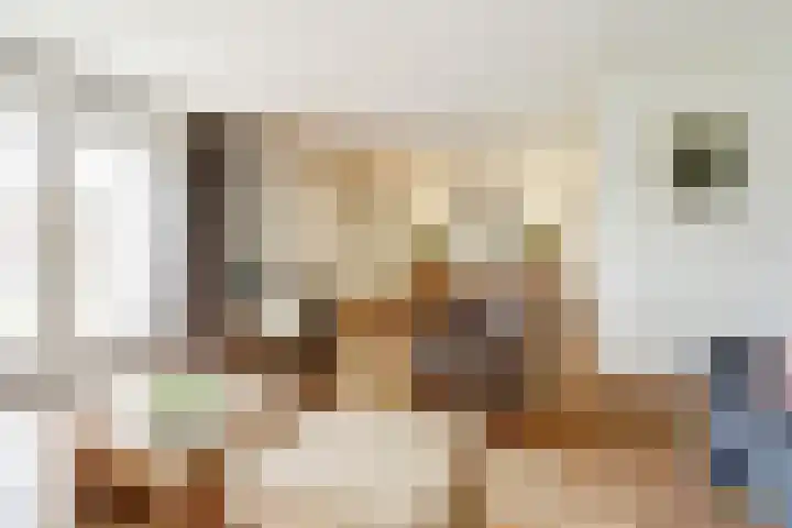 't Rietland 43 Bemmel thumbnail 5
