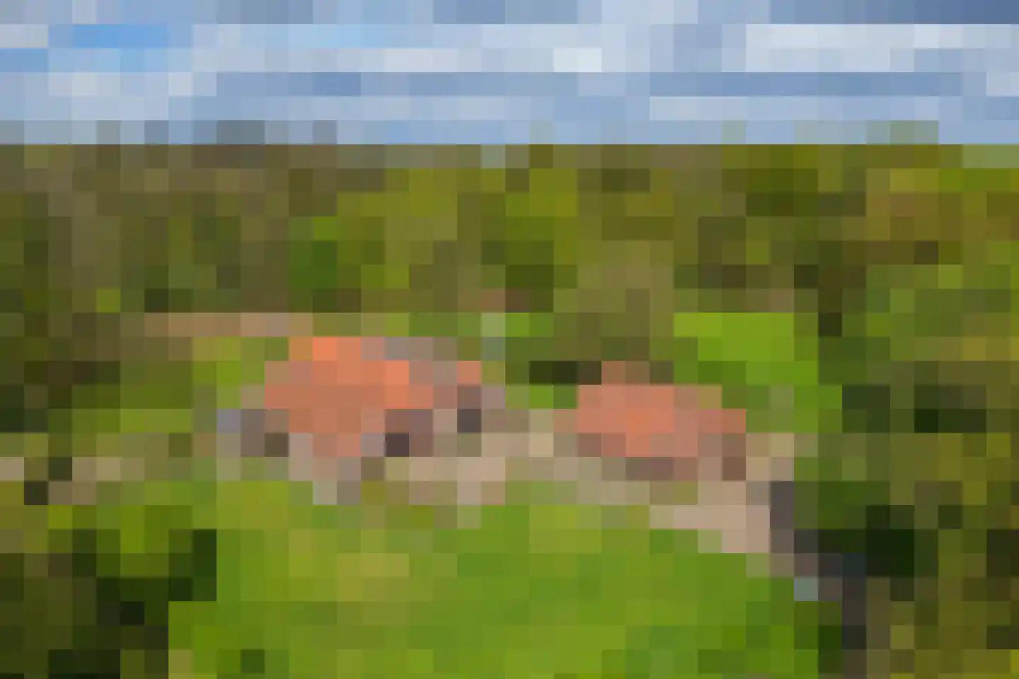't Rijkenbarg 1 Ruurlo