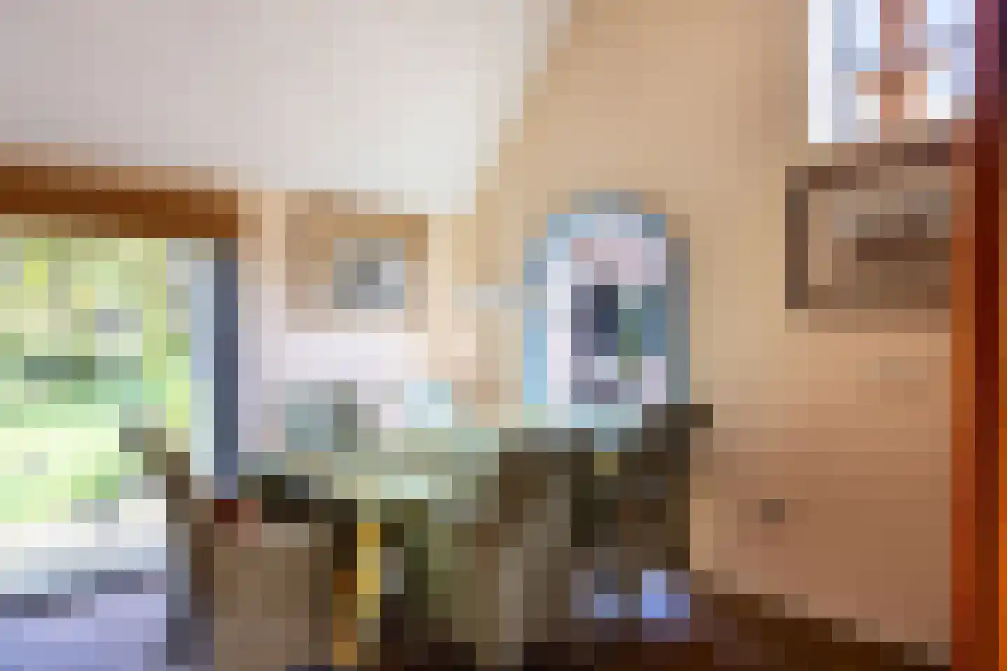 't Rijkenbarg 1 Ruurlo thumbnail 14