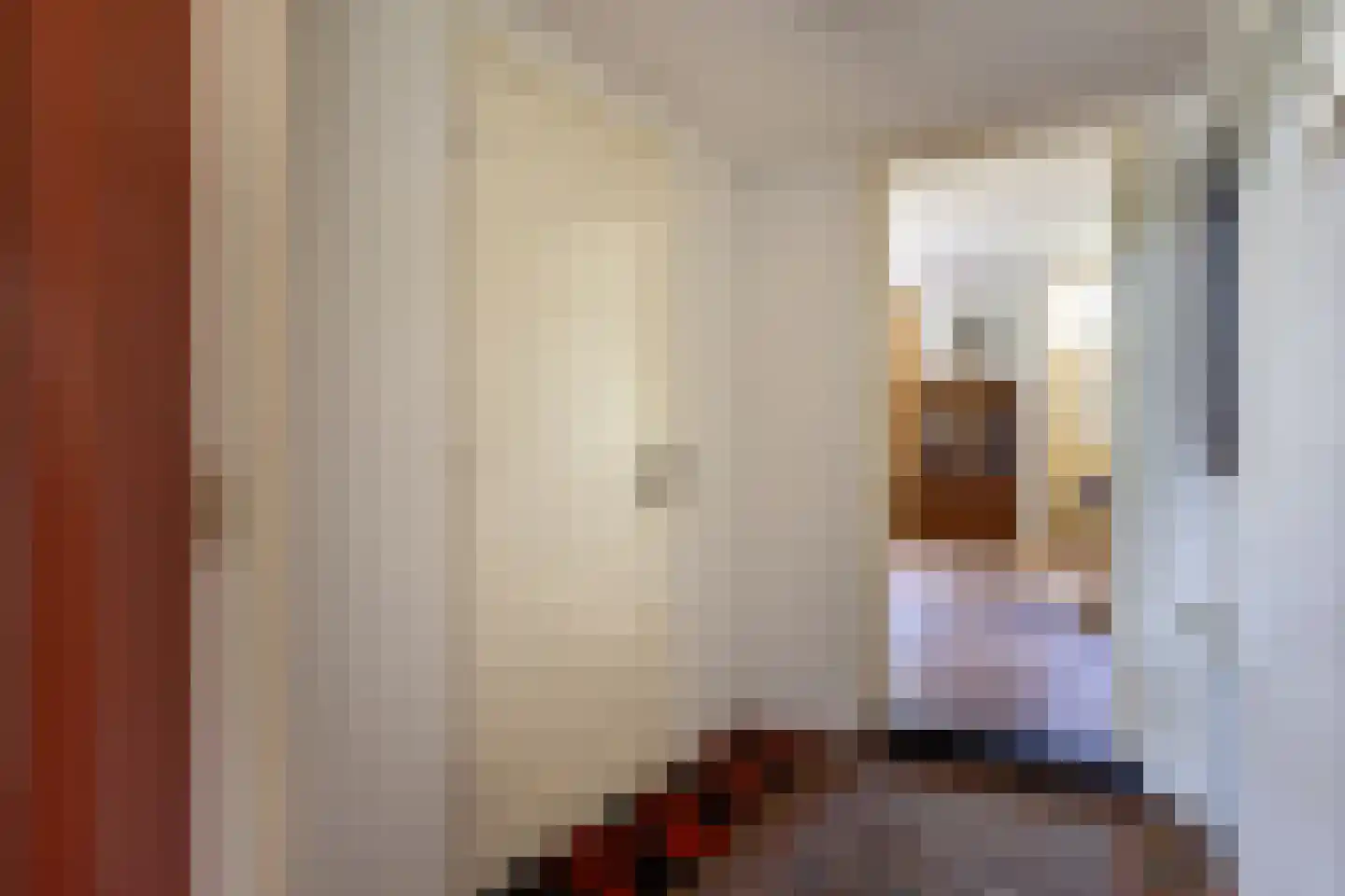 't Rijkenbarg 1 Ruurlo thumbnail 18