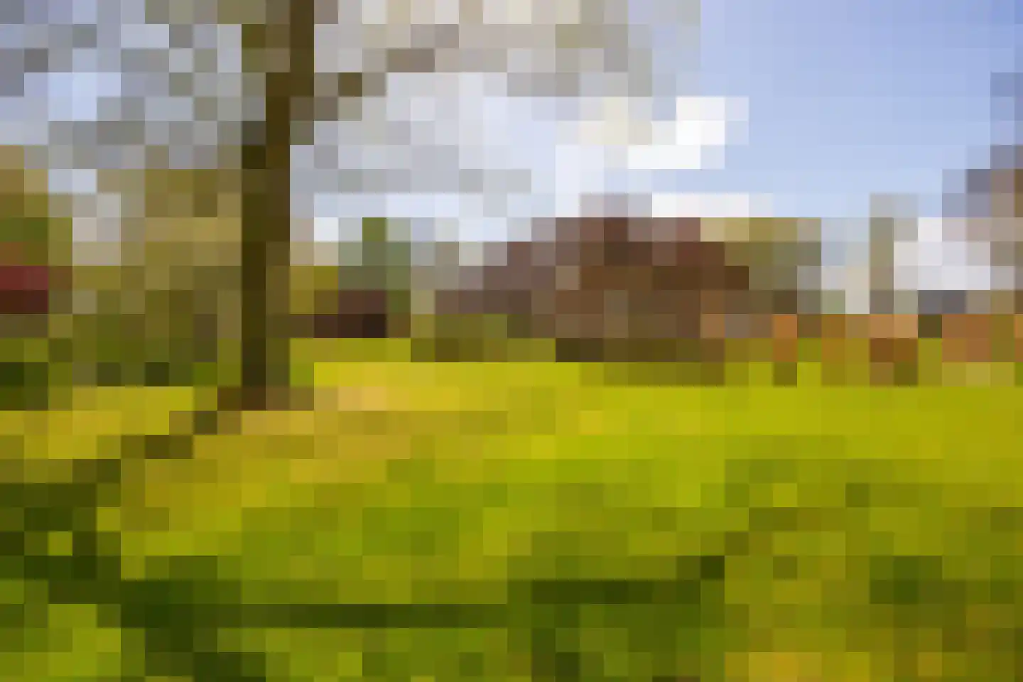 't Rijkenbarg 1 Ruurlo foto 2