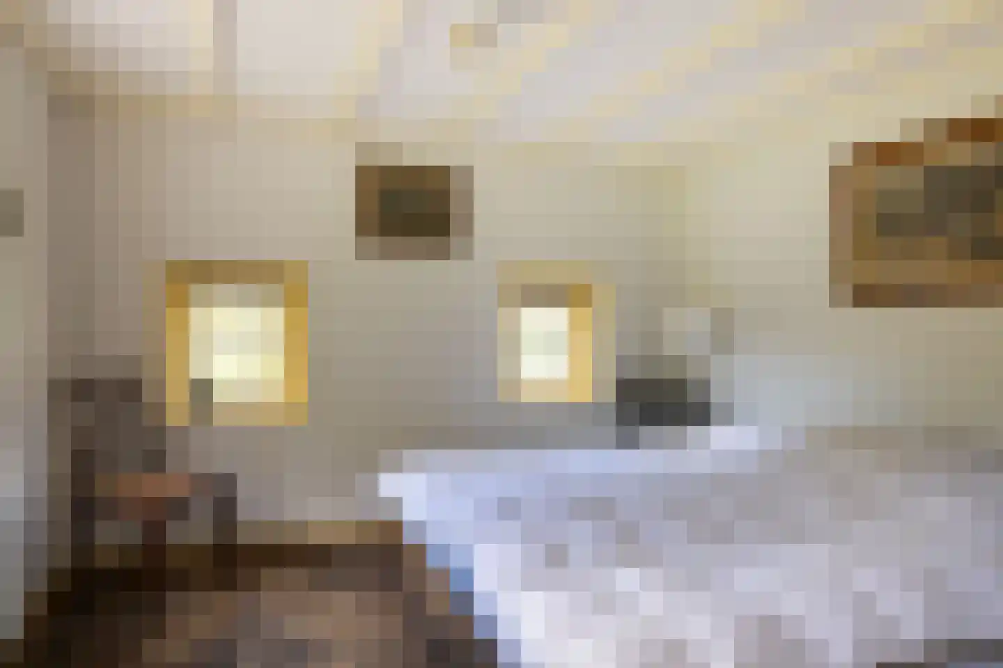 't Rijkenbarg 1 Ruurlo thumbnail 24