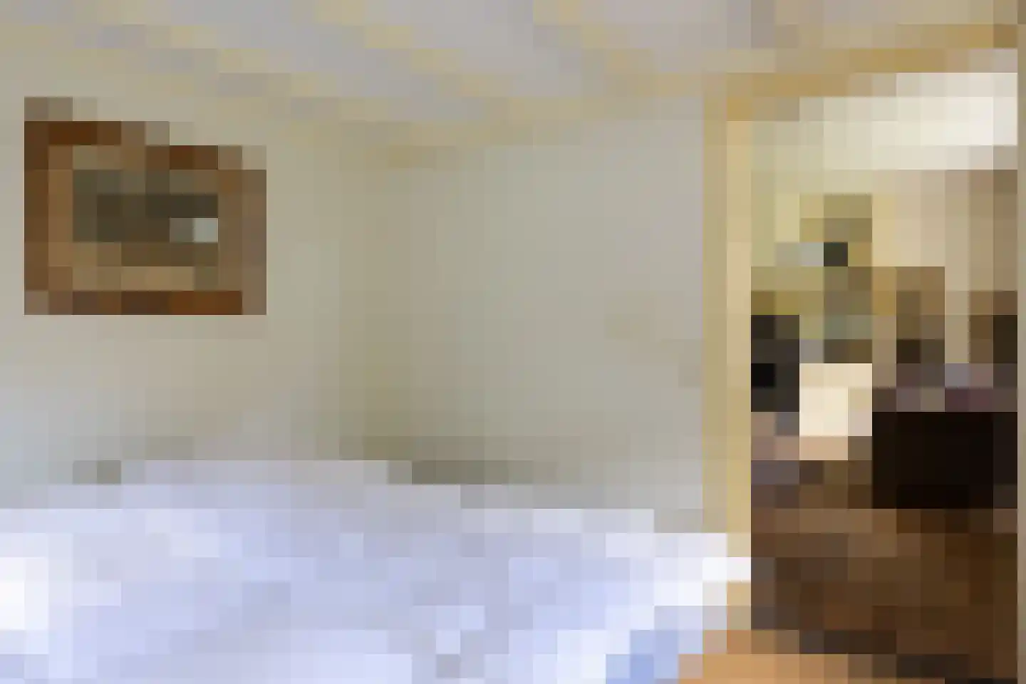 't Rijkenbarg 1 Ruurlo thumbnail 25
