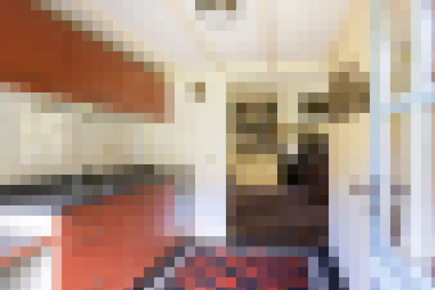 't Rijkenbarg 1 Ruurlo thumbnail 28