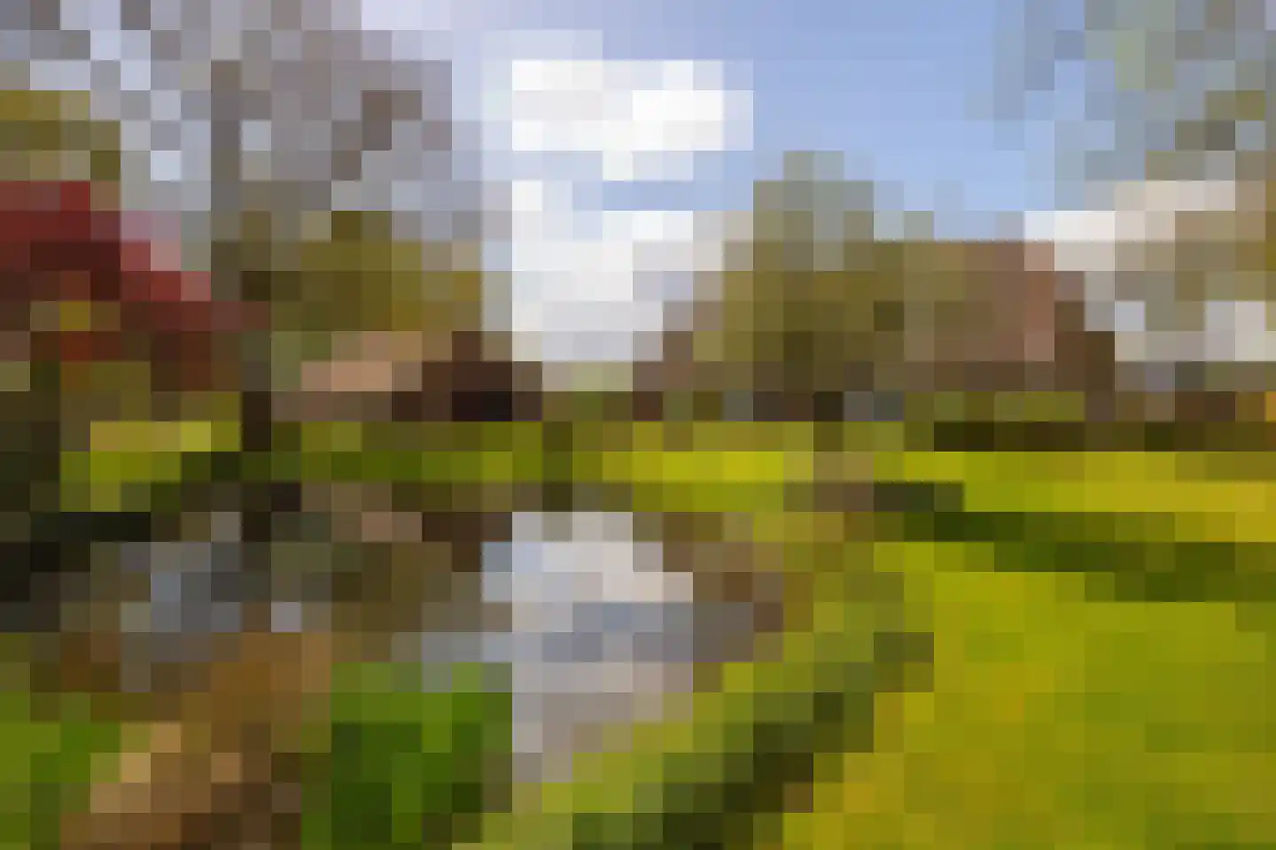 't Rijkenbarg 1 Ruurlo foto 3