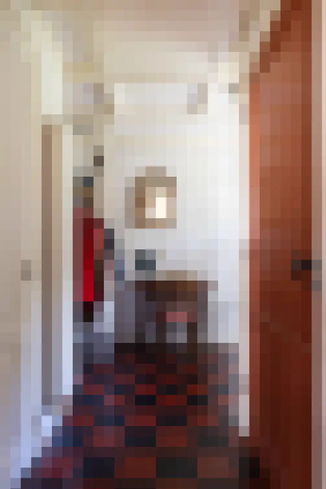 't Rijkenbarg 1 Ruurlo thumbnail 30