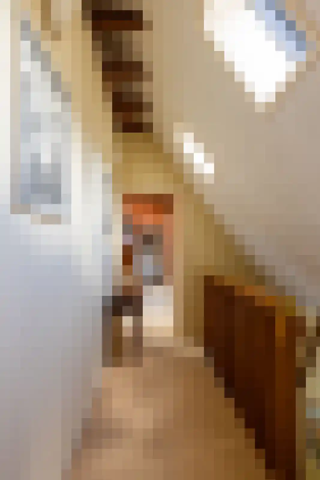 't Rijkenbarg 1 Ruurlo thumbnail 35
