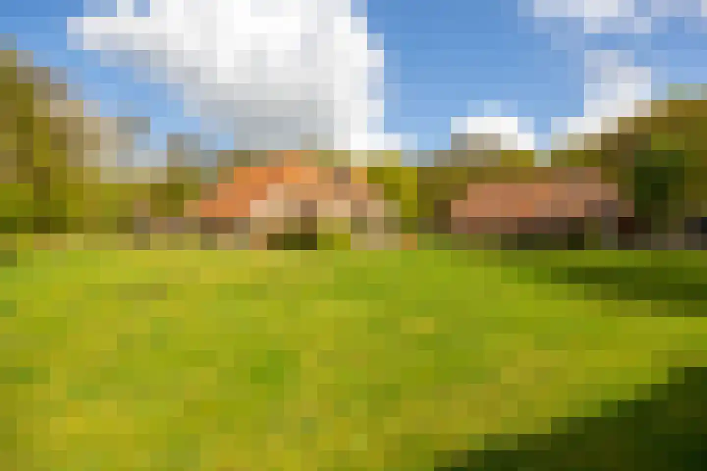 't Rijkenbarg 1 Ruurlo thumbnail 4