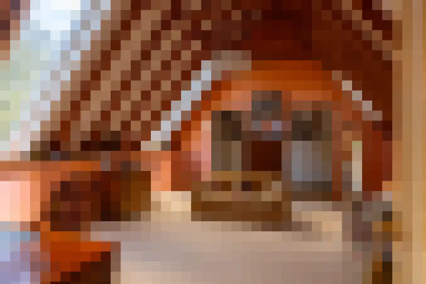 't Rijkenbarg 1 Ruurlo thumbnail 40