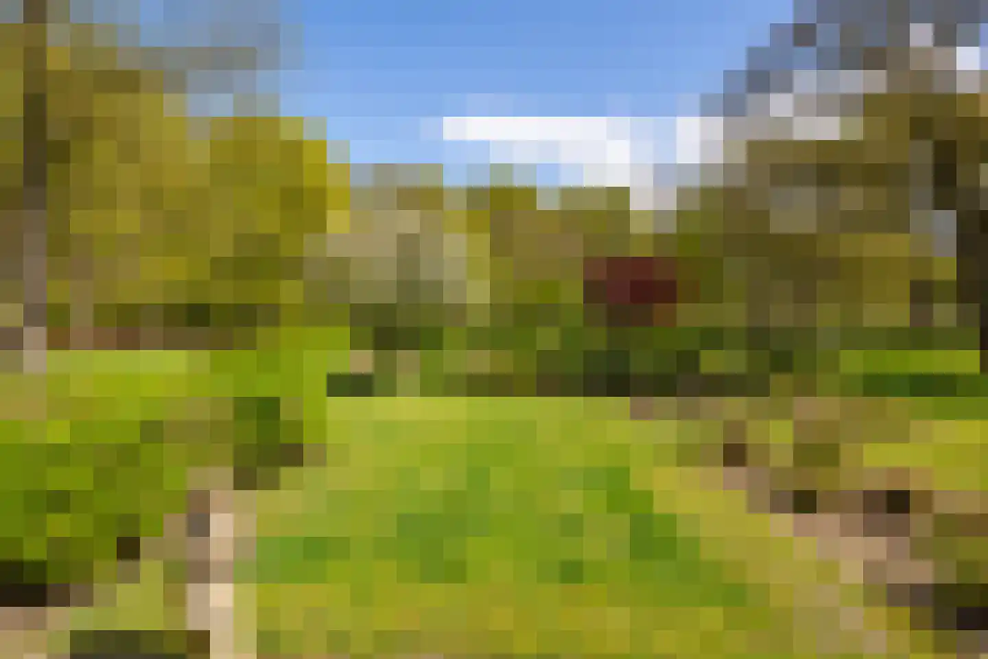 't Rijkenbarg 1 Ruurlo thumbnail 43