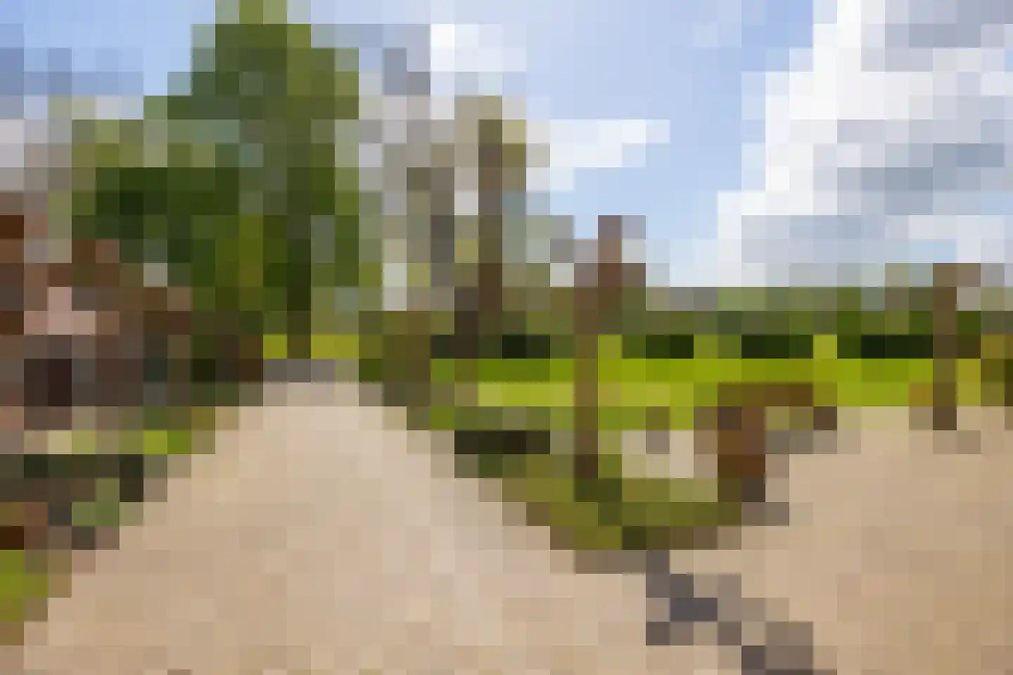 't Rijkenbarg 1 Ruurlo thumbnail 45