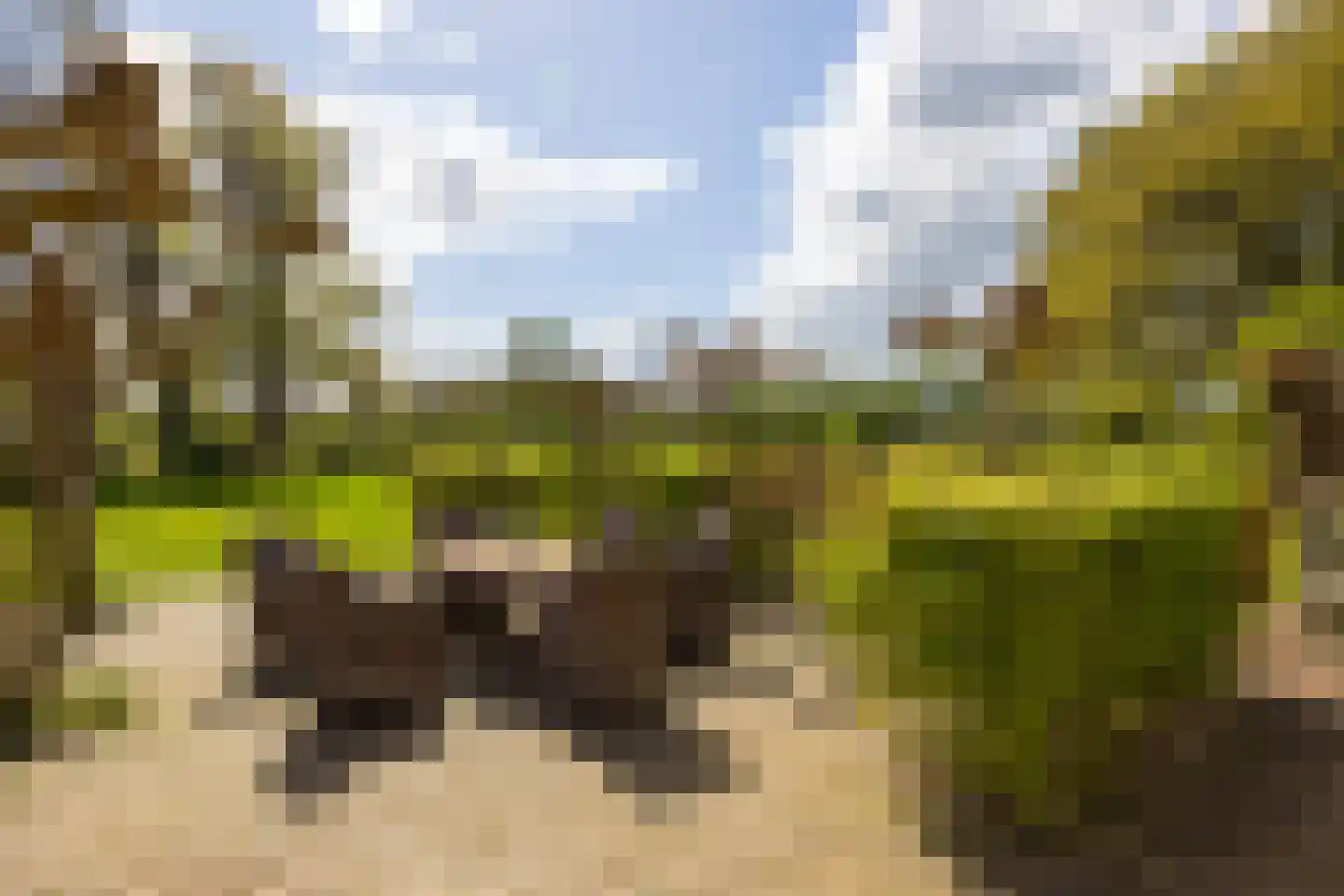 't Rijkenbarg 1 Ruurlo thumbnail 46
