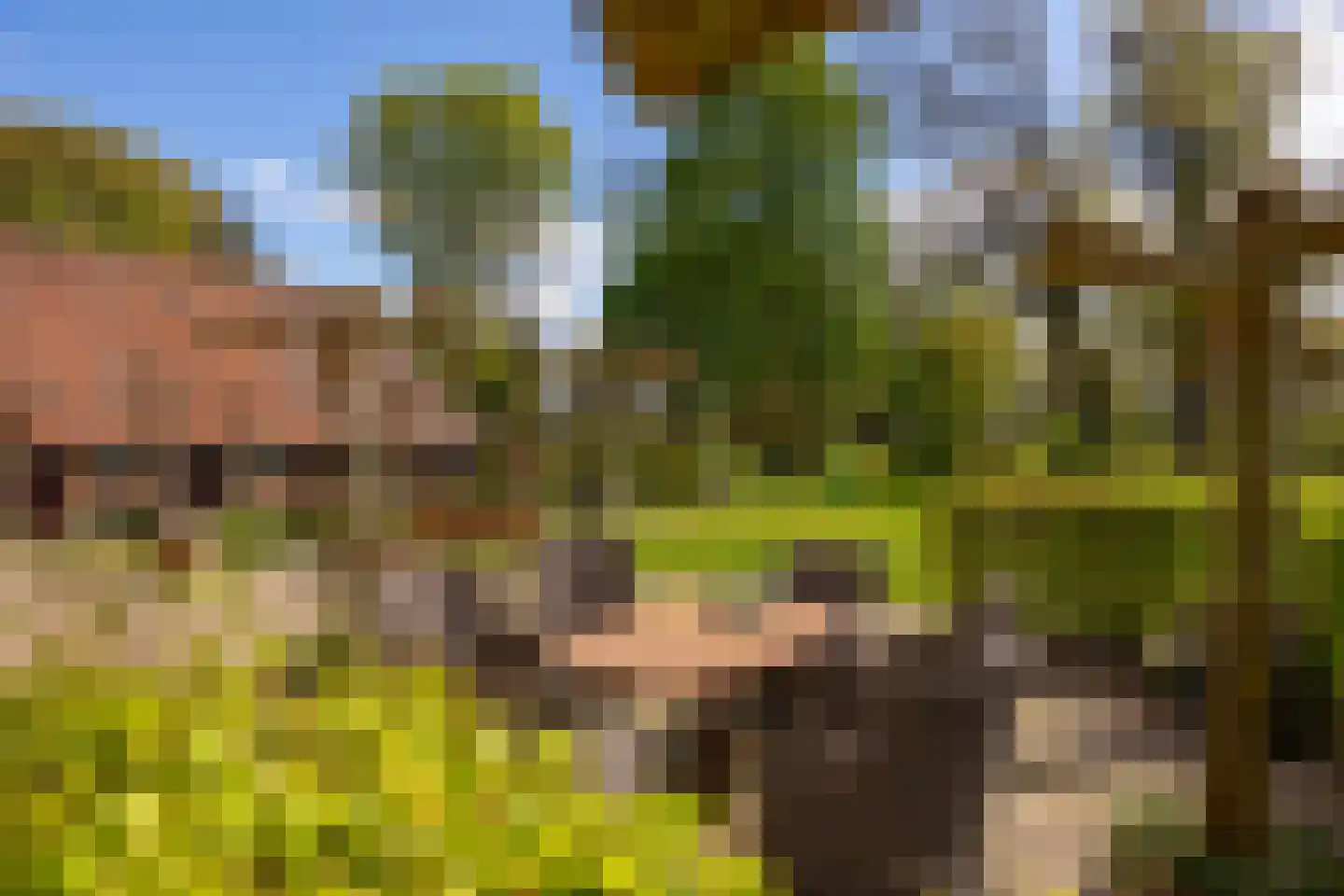 't Rijkenbarg 1 Ruurlo thumbnail 47