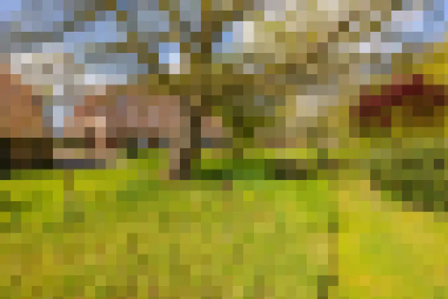 't Rijkenbarg 1 Ruurlo thumbnail 48