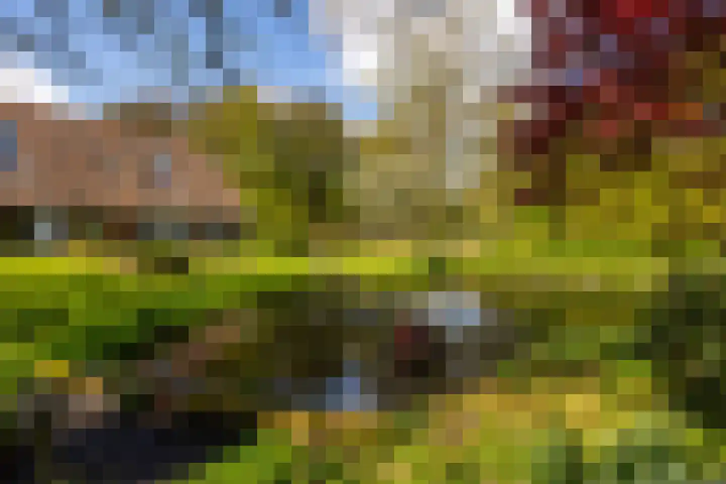 't Rijkenbarg 1 Ruurlo thumbnail 49