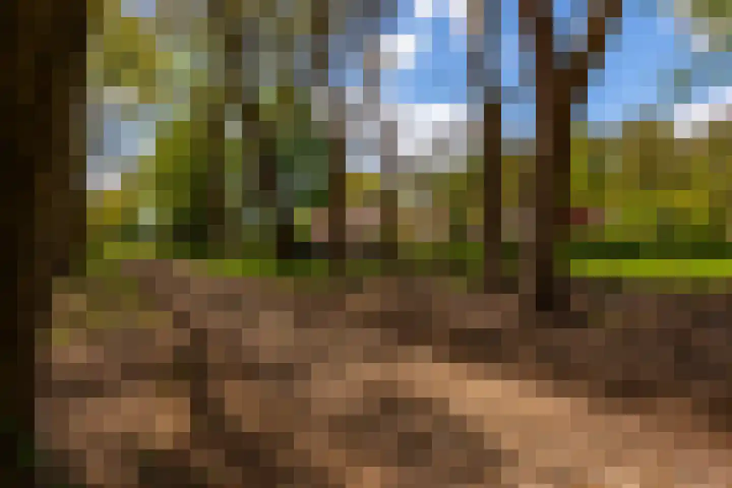 't Rijkenbarg 1 Ruurlo thumbnail 5