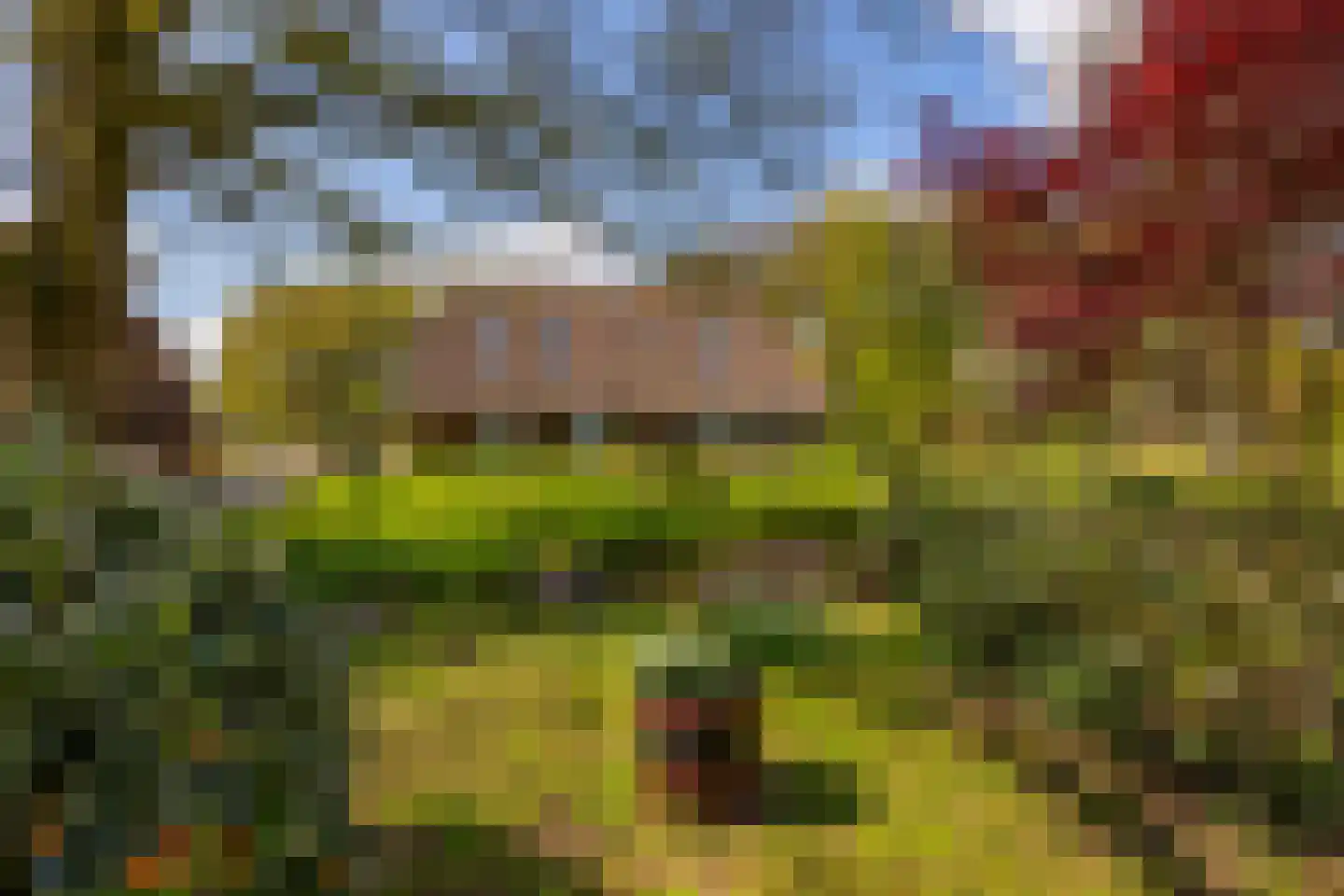 't Rijkenbarg 1 Ruurlo thumbnail 50