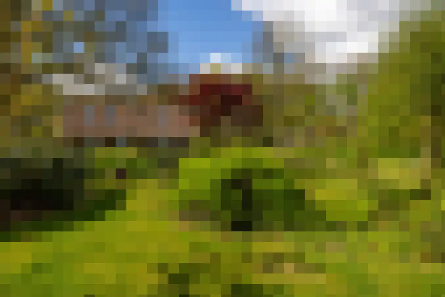 't Rijkenbarg 1 Ruurlo thumbnail 51