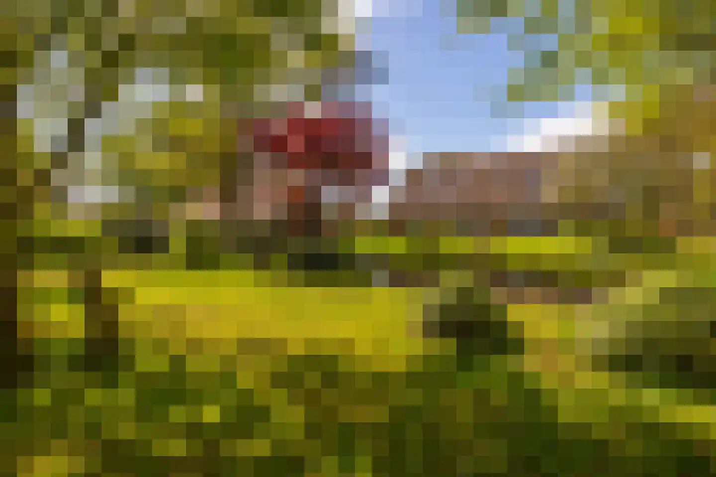 't Rijkenbarg 1 Ruurlo thumbnail 52