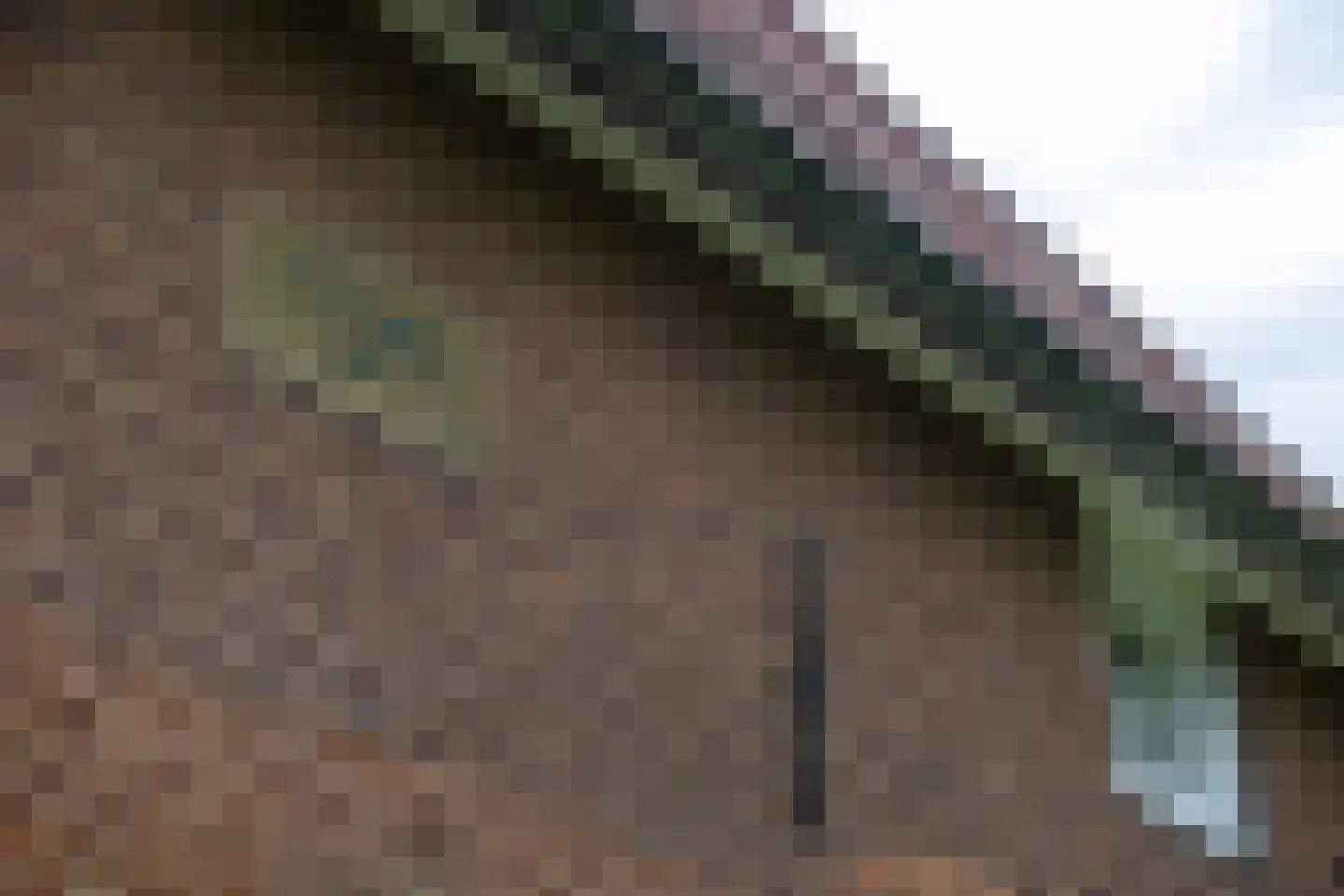 't Rijkenbarg 1 Ruurlo thumbnail 54
