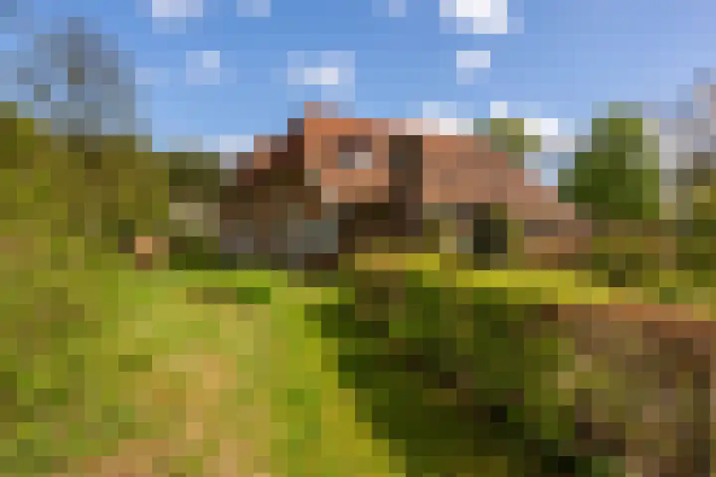 't Rijkenbarg 1 Ruurlo thumbnail 55