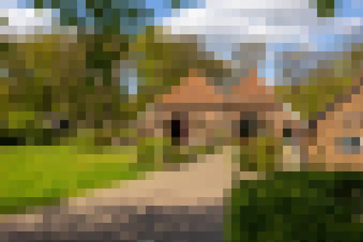 't Rijkenbarg 1 Ruurlo thumbnail 6