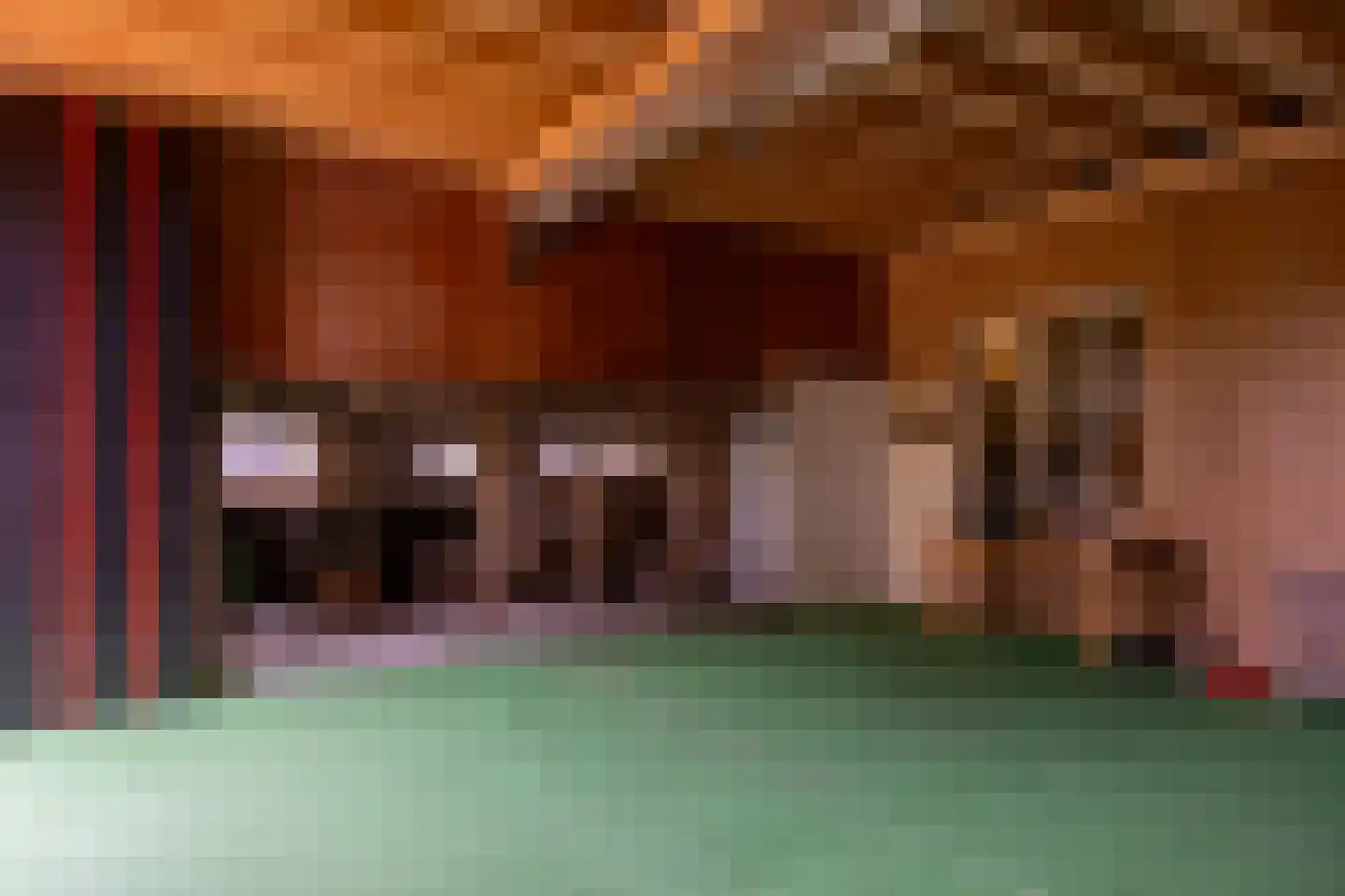 't Rijkenbarg 1 Ruurlo thumbnail 60