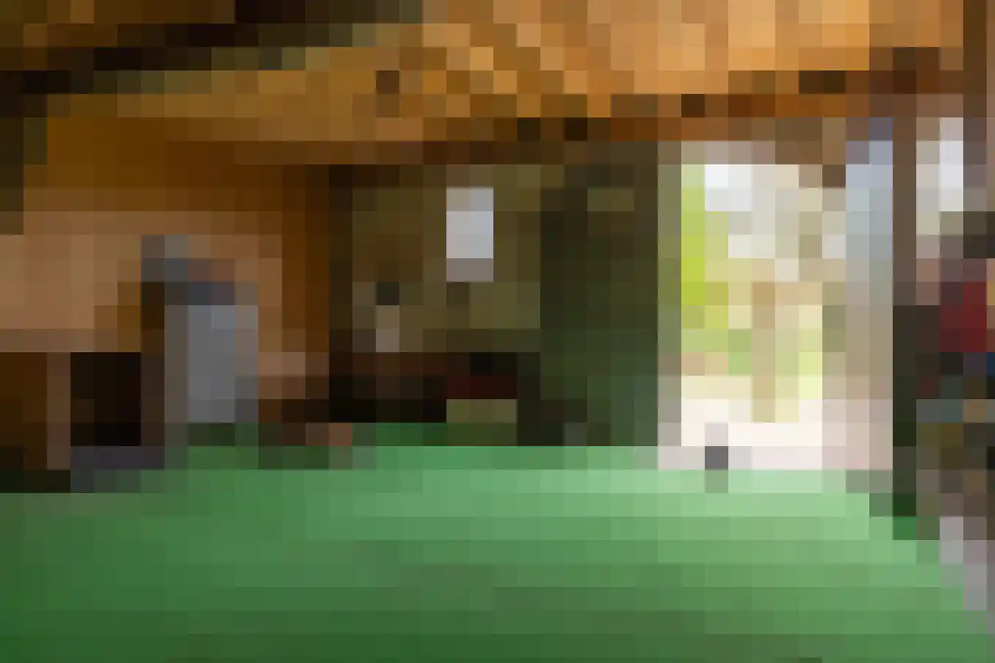 't Rijkenbarg 1 Ruurlo thumbnail 61
