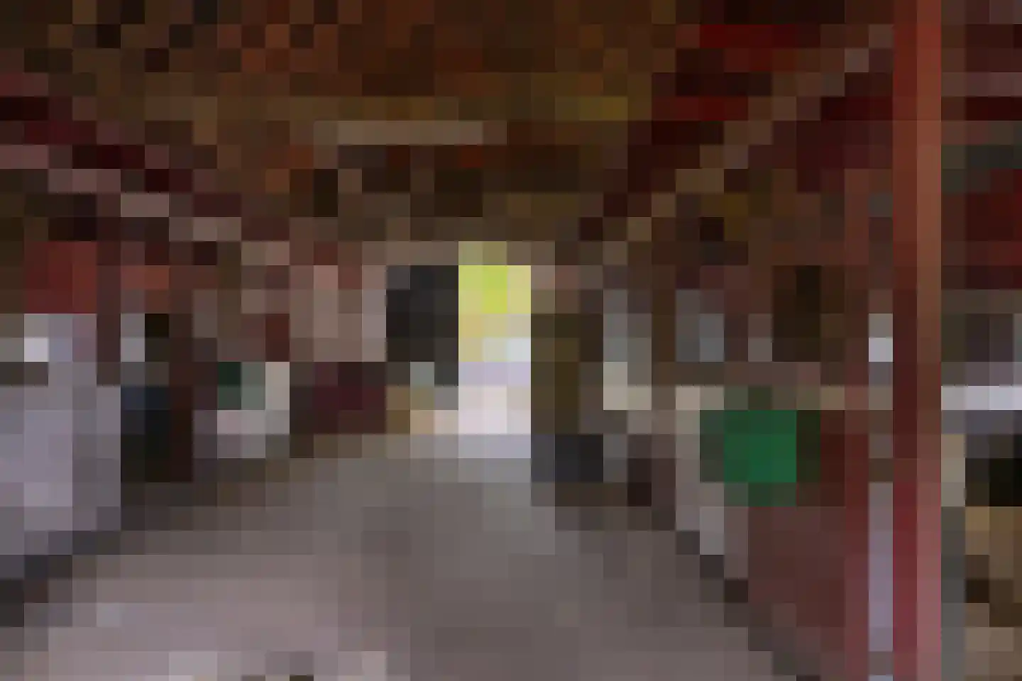 't Rijkenbarg 1 Ruurlo thumbnail 63