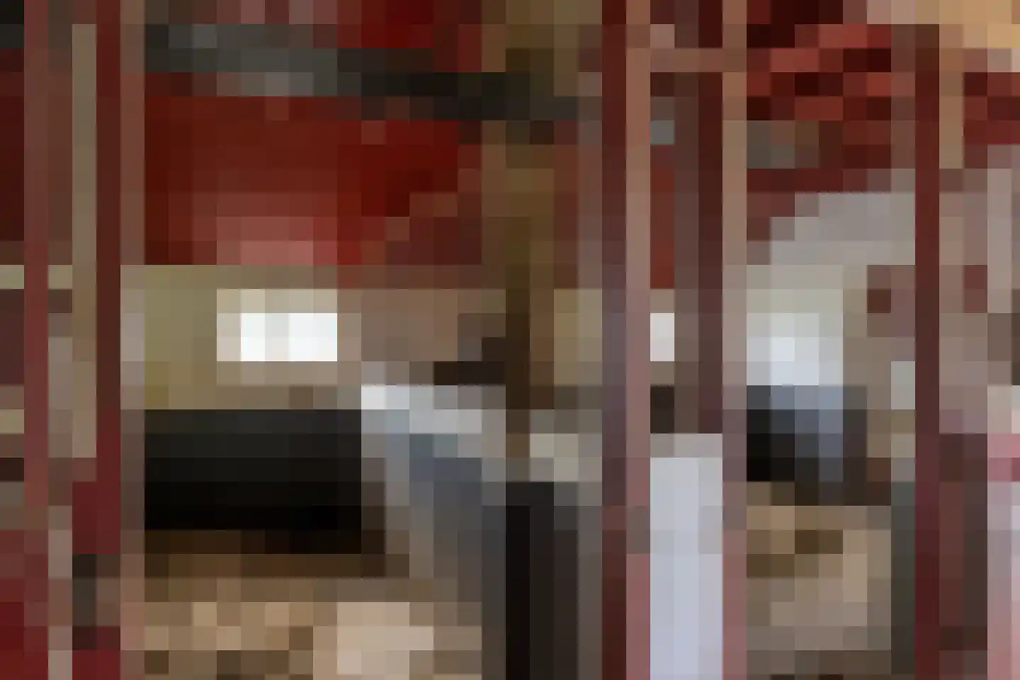 't Rijkenbarg 1 Ruurlo thumbnail 64
