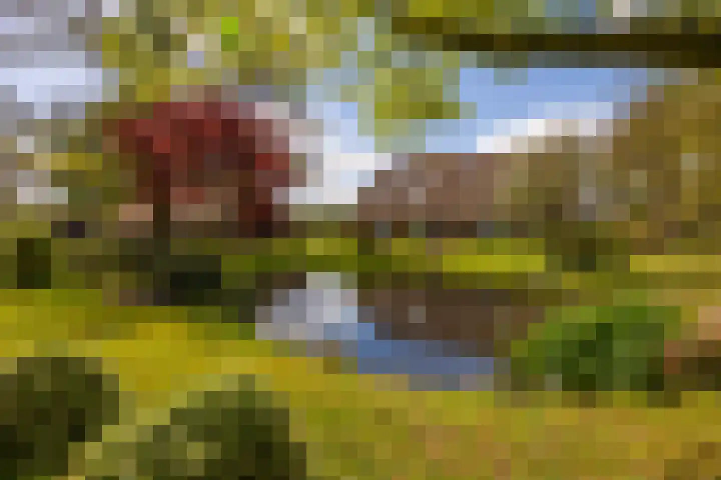 't Rijkenbarg 1 Ruurlo thumbnail 65