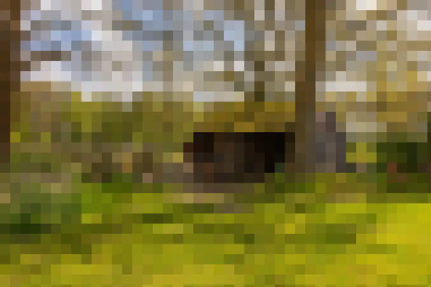 't Rijkenbarg 1 Ruurlo thumbnail 66
