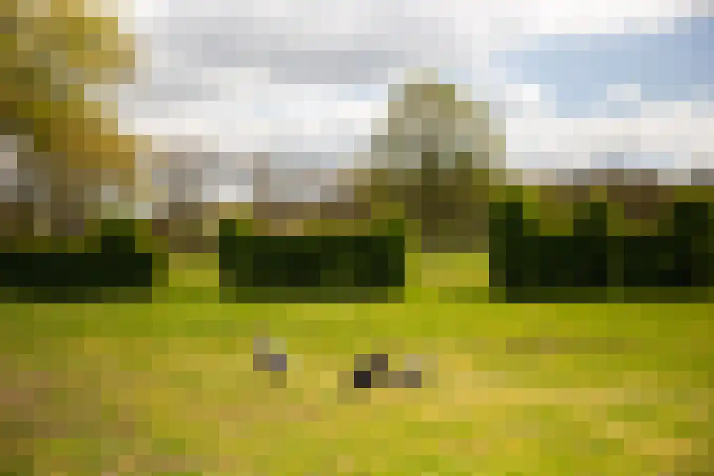 't Rijkenbarg 1 Ruurlo thumbnail 67