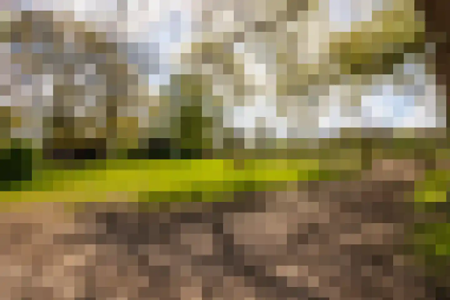 't Rijkenbarg 1 Ruurlo thumbnail 68