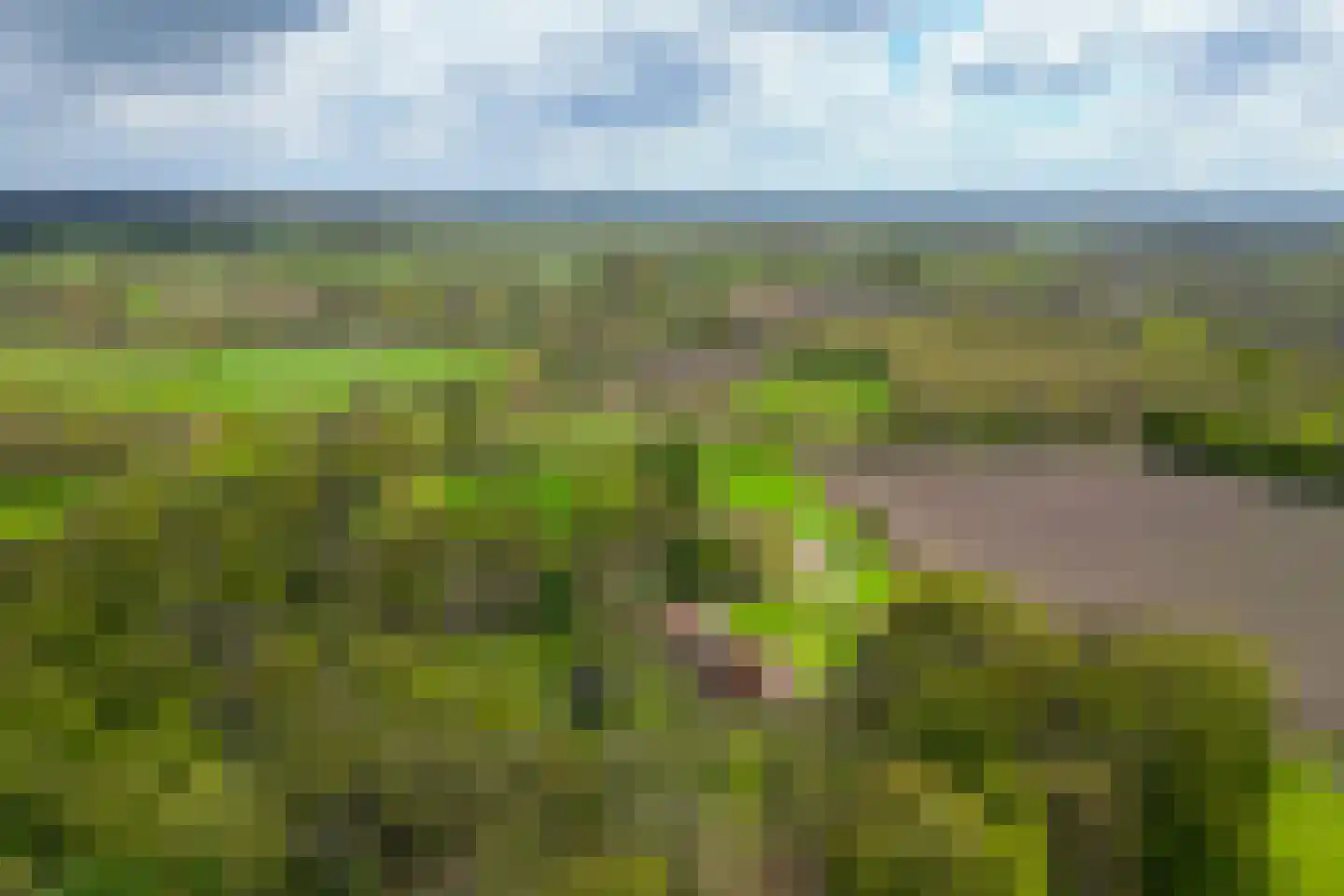 't Rijkenbarg 1 Ruurlo thumbnail 69